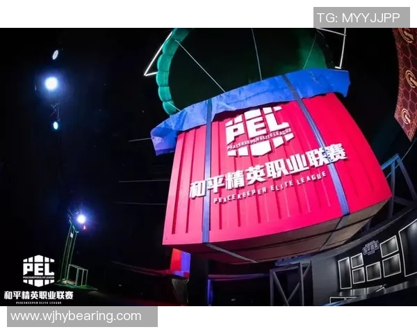 和平精英战队WE节奏分析与战术探讨的深度研究与思考